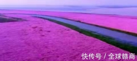 艾利圣|瑞洪诗词社——艾利圣诗词三十首赏阅