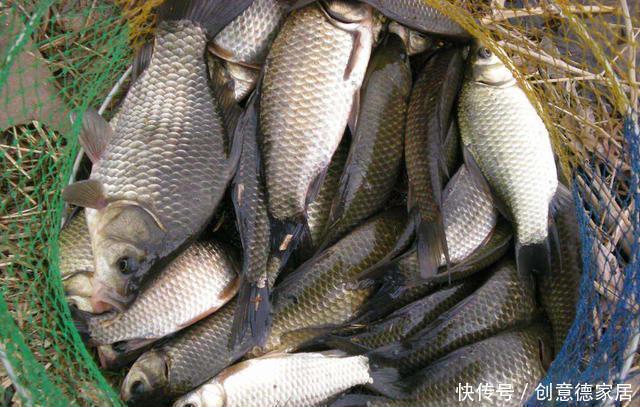 如何做到轻窝不补但留窝持久?这三个方案适合你