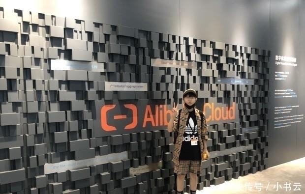 张昕|与阿里合伙人合影,两年净赚一百万,这个草根姑娘有什么魔力?