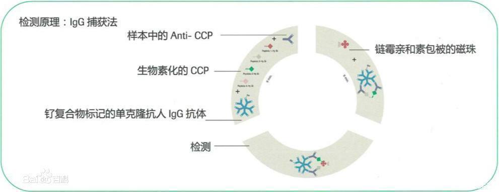 探秘羧基磁珠:生物医学的新星