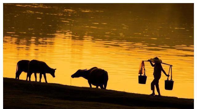 好好学习|孩子以后有没有出息,就看这4点,与学习成绩无关