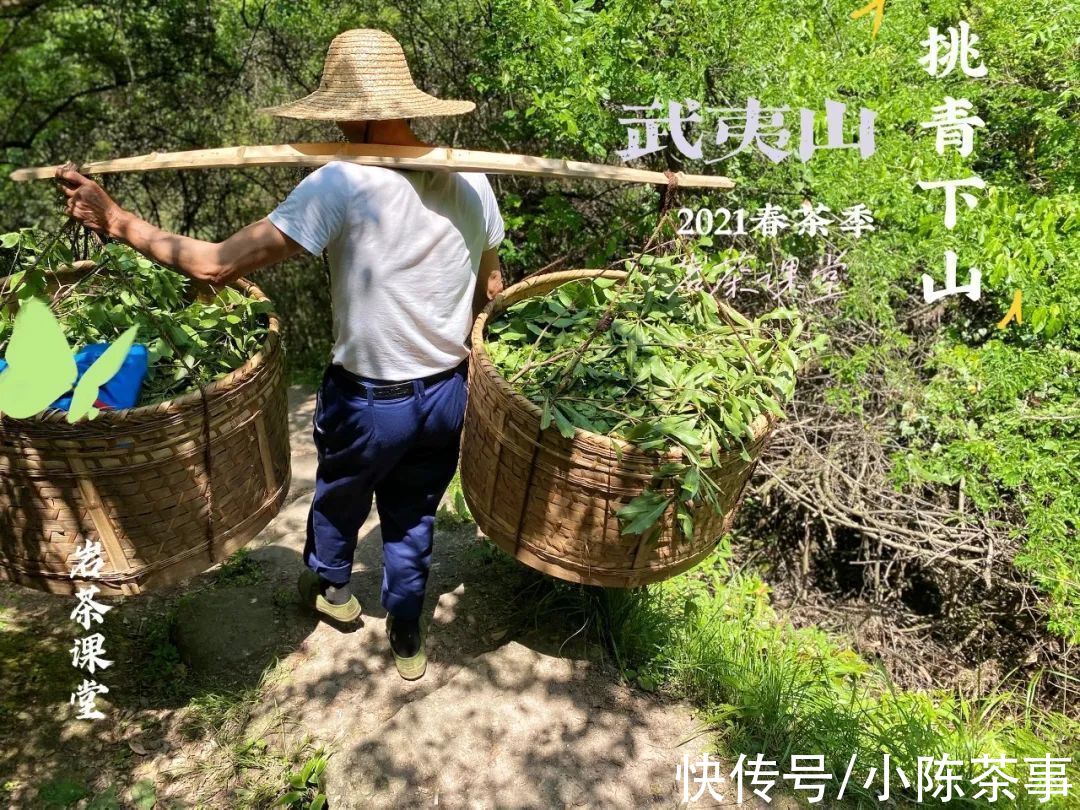 麻花#武夷岩茶的香韵、岩韵、山头韵，应该如何理解，它们有什么区别？