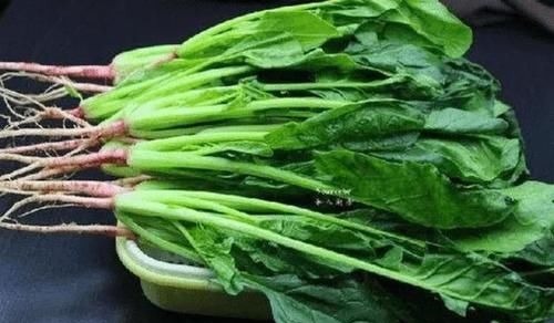 养胃|胃不好啥都不能吃?非也,这些养胃食物可常端上桌