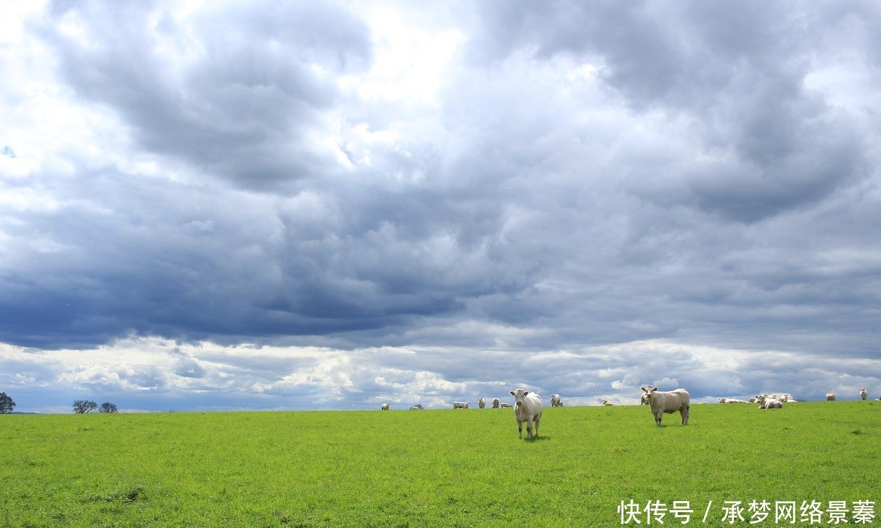 旅游|中国大美草原旅游攻略，每一处都风光无限