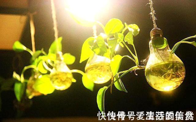 懂得!南山老人提醒我:做人再有本事,也要对这四件事守口如瓶,有道理