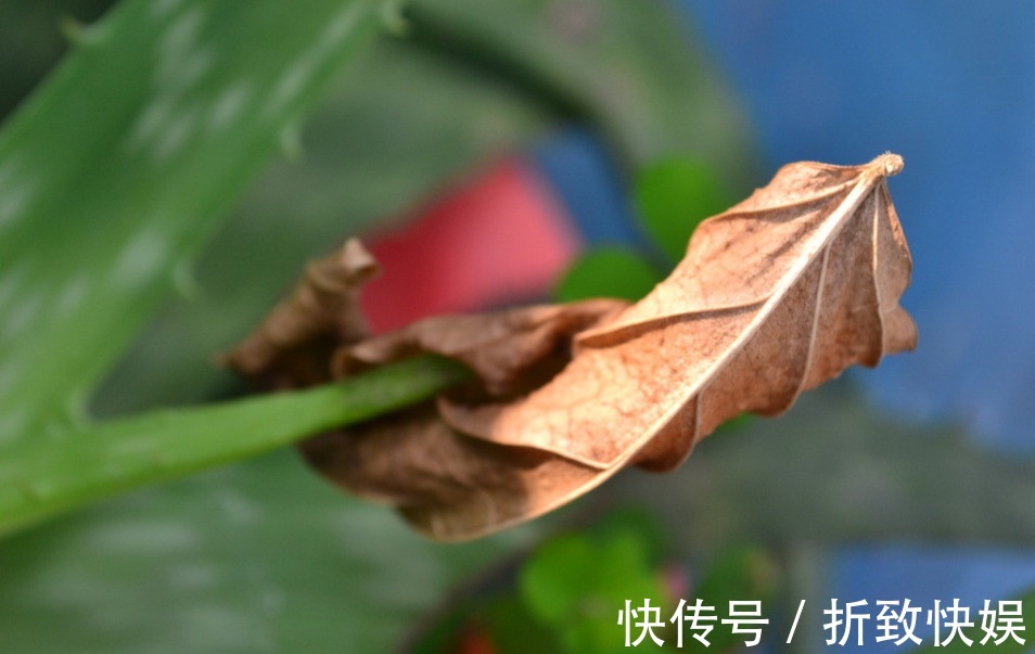 老友人$人到五十才明白,再有本事也要留住三个人,为晚年做好准备!