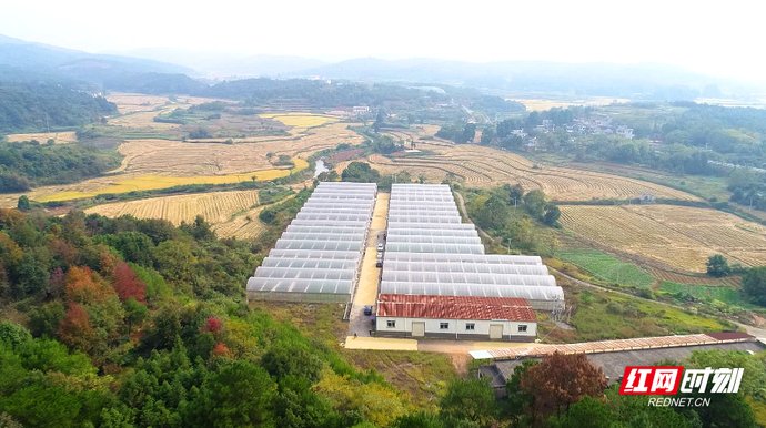 中年|桂阳：以全域旅游为突破 助力乡村振兴“提档加速”