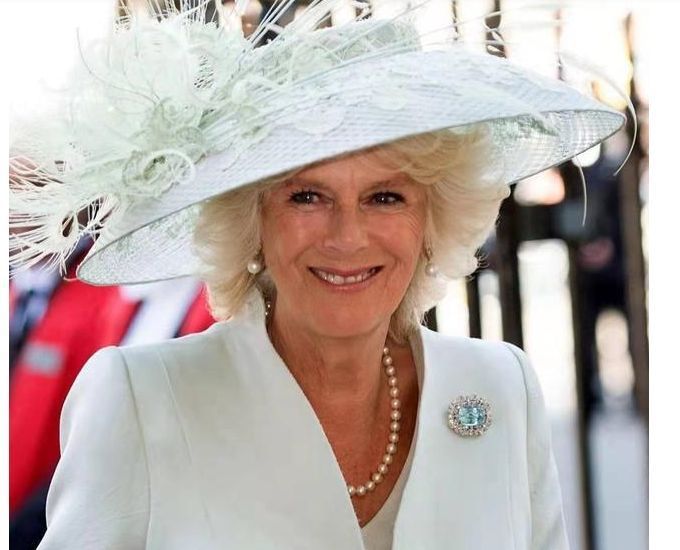 海蓝宝#同戴海蓝宝石首饰,卡米拉奢华繁琐戴妃简约大气,展现了两种美