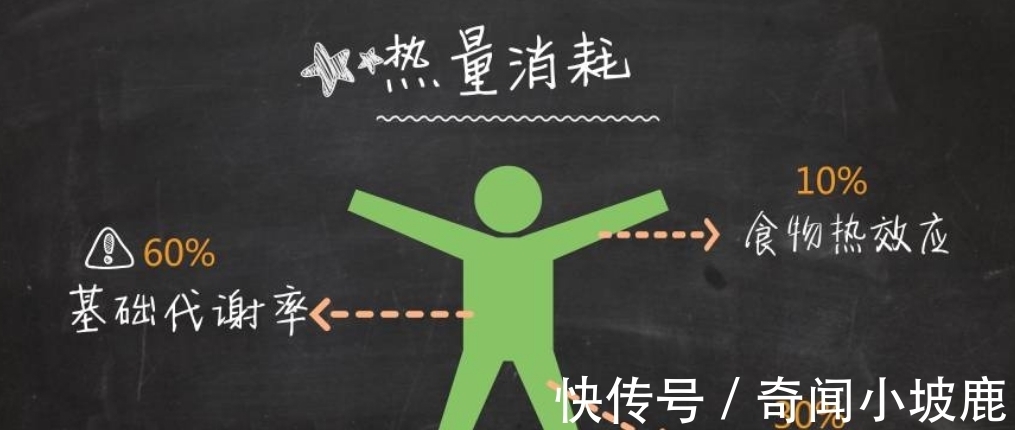 变胖|人到中年真的会变胖吗?那该怎么办?