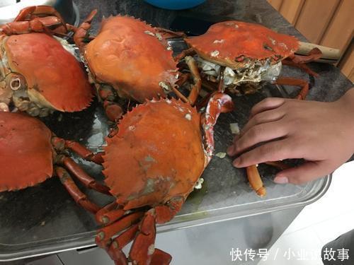 螃蟹泛滥,随手一捞就几十斤,印度网友我觉得可以便宜卖给邻国