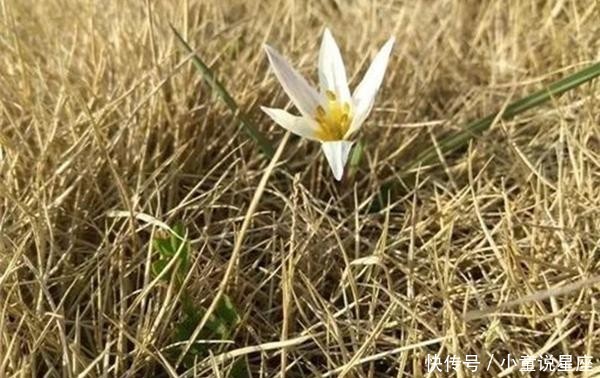 二月风光 草长莺飞二月天 拂堤杨柳醉春烟 快资讯