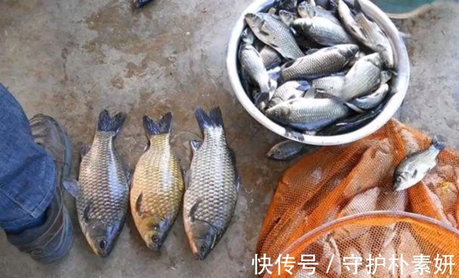 冬钓!真不是穷人能玩的,“穷人”去黑坑也钓不到鱼