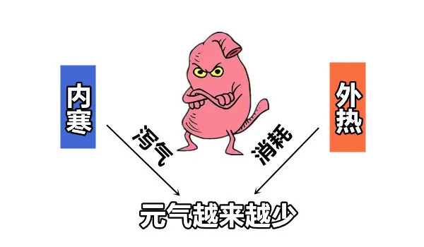 寒则热之热则寒，中和用药解胃炎|大白话说中医第一百五十四期| 寒症