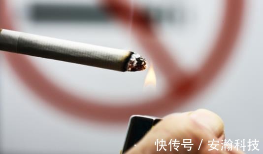 胃黏膜|胃病需时刻提防 科学养胃才是硬道理