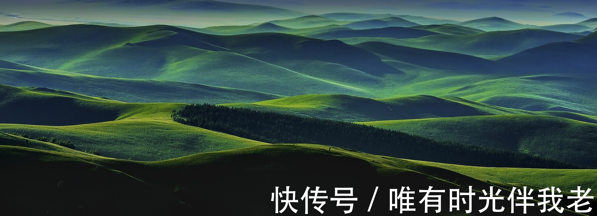 拾遗@残句拾遗:万卷诗书三尺剑,半窗风雨一池蛙