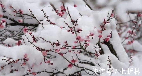 平平平仄仄&诗词欣赏/一剪梅(附悬联并求对)