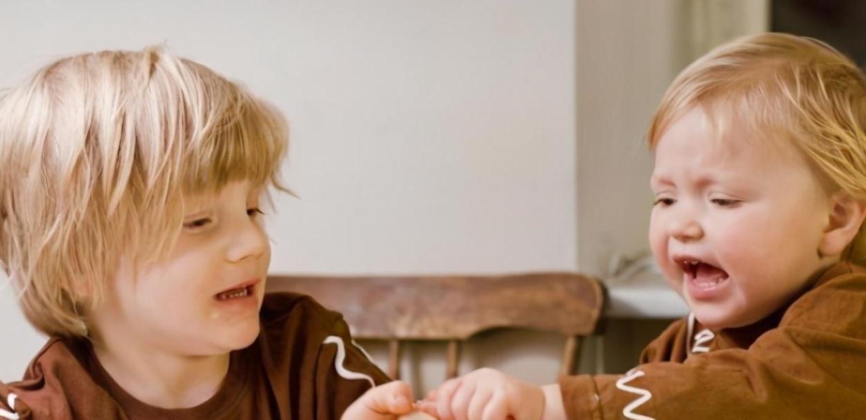 姐弟|弟弟被姐姐打哭,一边告状一边护着姐姐,画面太暖感动众人