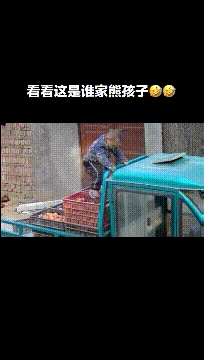 |搞笑GIF：哥们，你这妙招很不错，我咋就没想到呢