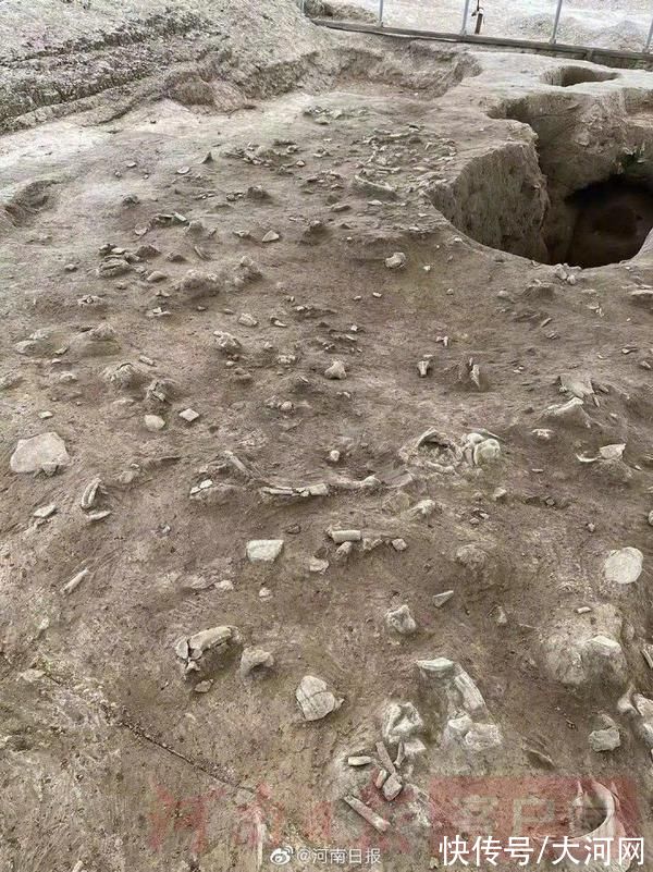 二里头文化！二里头遗址新发现骨、角器加工作坊
