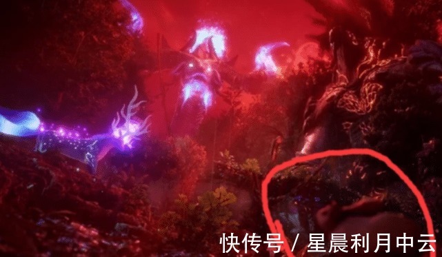 飞天神爪|斗罗大陆森林混战开始，小舞一眼认出唐三，两人同时露出甜蜜笑容