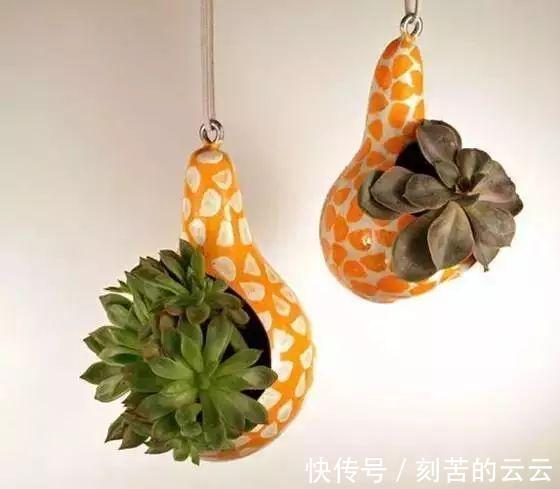 茶叶罐$牛x玩法! 这种葫芦的一定不能错过, 老玩家都在玩!