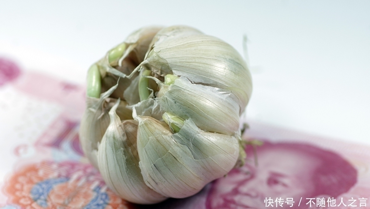功效|大蒜和它“天生一对”,每天吃一点,软化血管,血栓或许绕路走