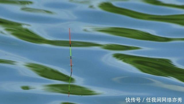 干货!钓鱼人应该熟知的风力常识,助你在垂钓中更加得心应手