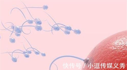 排出体外|“精子”进到女生体内后, 除了“受精”, 都会跑到哪里去