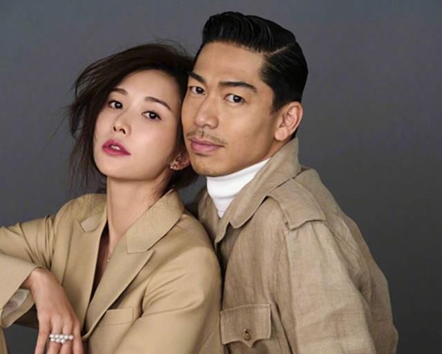 林志玲再传被家暴,疑因无法怀孕感情破裂,网友:非要嫁给日本人