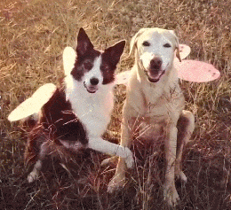 |搞笑GIF: 你可能永远不知道 长发女孩脸到底能有多大