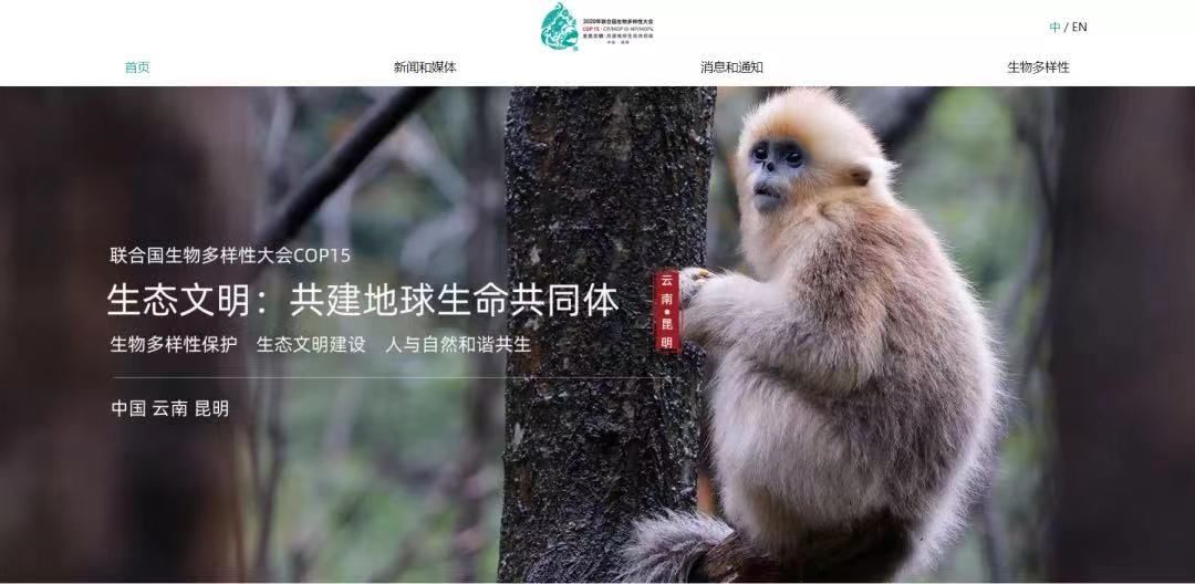 东道国|10月，《生物多样性公约》缔约方大会第十五次会议将来到昆明，东道国网站已上线
