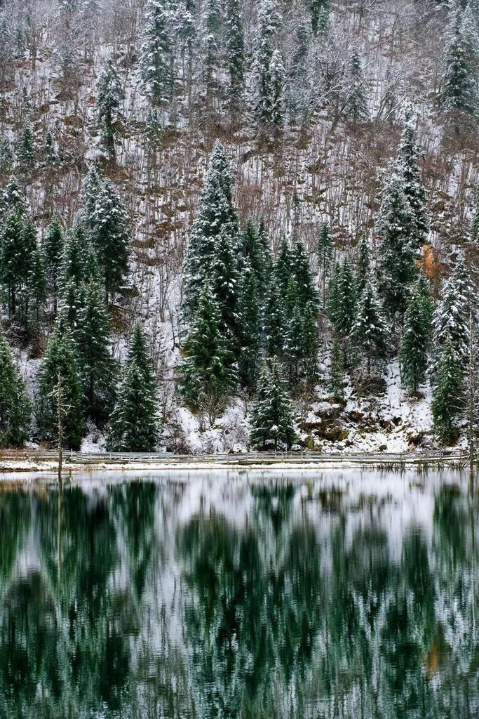 全国|厉害了！达古冰川又上央视，全国人都想打卡的冰雪仙境！