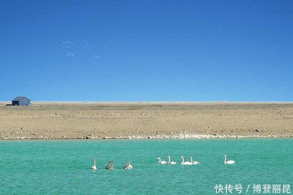 罗布泊|死亡之海罗布泊探明一种资源，沙漠戈壁出现湖泊，水从何处而来？