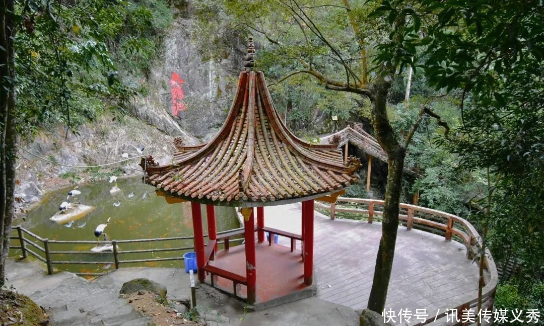 大V推荐丨金山人“拍了拍你”,一起去爬古道仙踪的鹅仙洞呀!