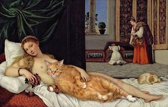 全世界最懂艺术的猫,霸道闯入世界名画,把