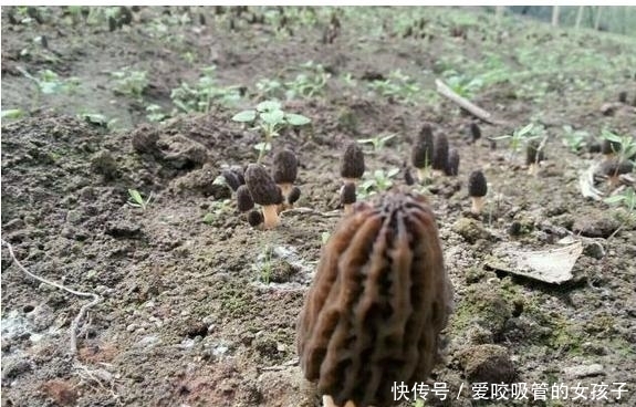 旅游瞎拍竟发现一片皱巴巴东西,一查竟是满满的财富!