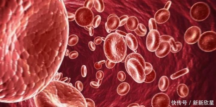 水银|怎么用家庭测血压,既准确又有用?4个方面,学会就是“赚了”!