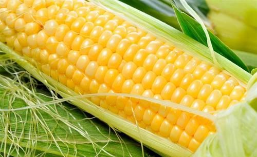 夏季养生，推荐3种食物，排毒消脂，清理肠胃，营养又瘦身