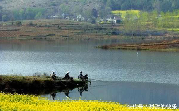 春季野钓大水面,最佳钓位有这些,水广鱼稀,这些位置鱼成群