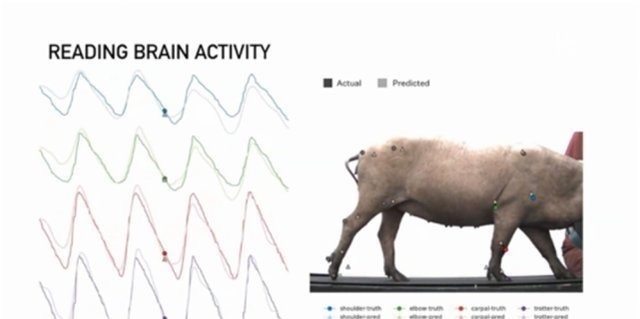 马斯克|美国传来重要消息,马斯克再次取得新突破,特殊芯片实现应用