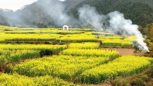 这里是江南春天的该有的样子，漫山花海，草木蔓发，踏青好去处