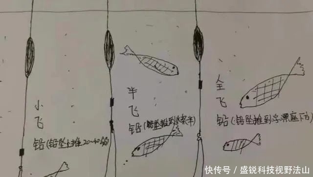 铅坠动一动,鱼情就好到没话说!