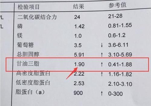  甘油三酯的“克星”找到了，不是洋葱，早晚喝一点，血脂慢慢降下来