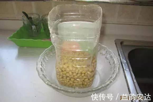 家里的塑料油桶别扔，有3个“妙用”，种菜效率高，扦插生根快