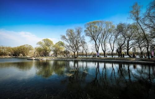 二月|北京最大的樱花园，面积约25万平米，一到3、4月游客爆满