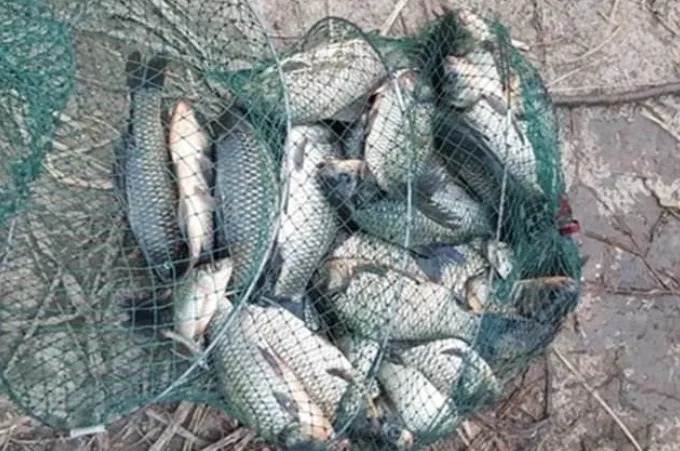 偷偷告诉你:冷天我只用这钓法,千真万确,一般人还真不知道