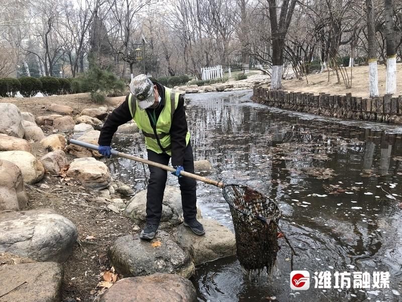 提颜值！公园水域垃圾大清理