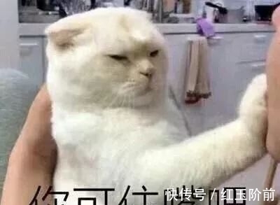 技巧 圆脸方脸最适合什么发型?发型脸型搭配技巧在这了!