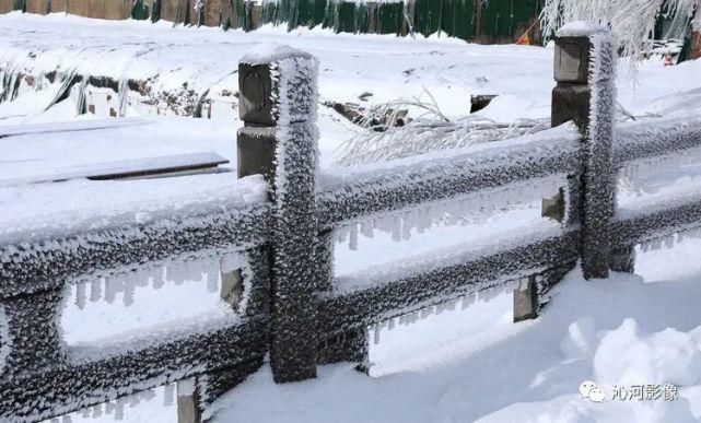 雪后王莽岭，美得不要不要的！