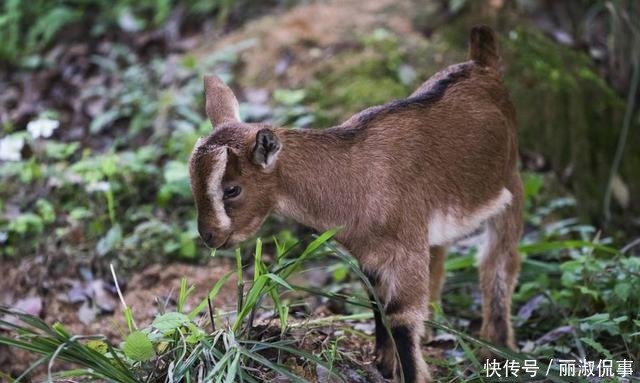 国宝|因吃保护动物而被杀的皇帝，坟墓千年未被盗，藏有3件国宝